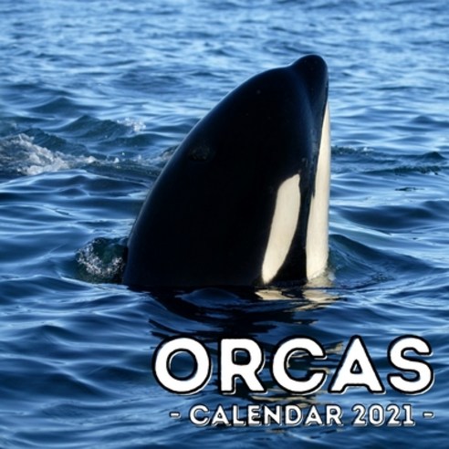 Orcas Calendar 2021: 16-Month Calendar Cute Gift Idea For Killer Whales ...