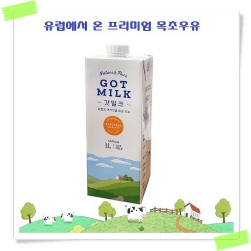 갓 밀크 멸균우유, 1L, 24개