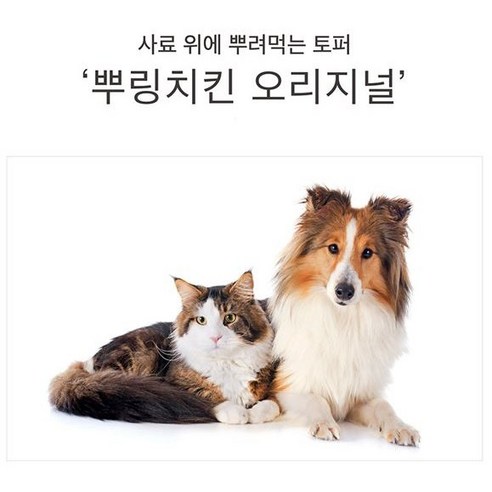 닭을 사용한 안전하고 신선한 강아지 고양이 겸용 간식
