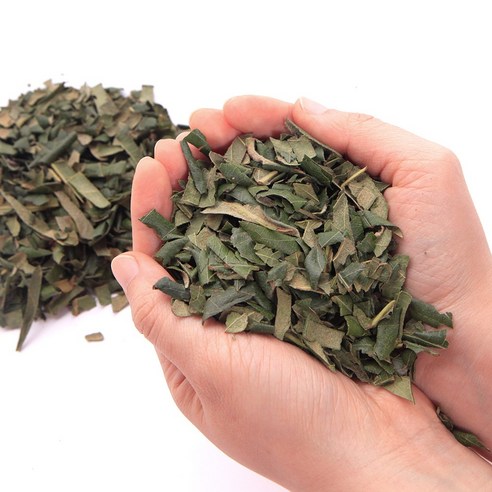 완도의 숨결, 비파건잎으로 건강과 아름다움을 동시에!