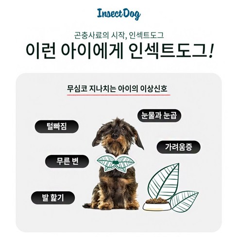 하이포알러지 대형 강아지의 건강과 안녕을 위한 혁신적인 인섹트 단백질 기반 사료