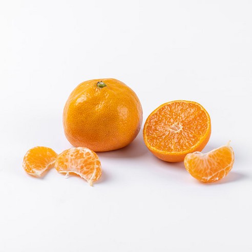 달콤한 제주 하우스 감귤 1.5kg 중대과 L-2L, 1개