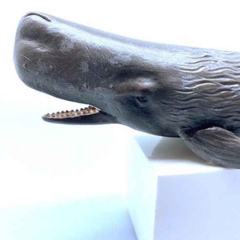 컬렉타 향유고래 해양 동물 물고기 피규어 장난감 모형은 어린이에게 안전하고 교육적인 가치를 제공하는 완구입니다.