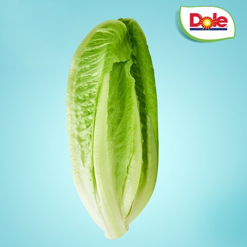 Dole 본사직영 통로메인1.5kg/알뜰형로메인 1kg 택1, 알뜰형로메인1kg, 1개