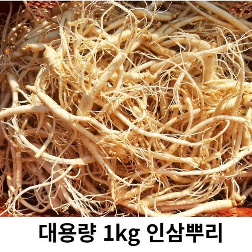 인삼 금산미삼뿌리 파삼 1kg 500g 인삼뿌리 미삼 미삼잔뿌리 작은인삼 뿌리파삼 작은수삼, 1kg 미삼 인삼뿌리(세척 0), 1개