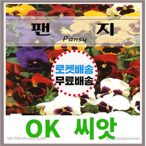 [OK씨앗] [팬지] 팬지꽃씨앗 종자(오케이씨앗), 2개