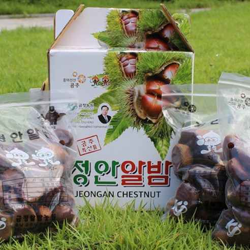 공주밤 정안밤 햇밤 대/특 2kg 4kg, 2kg(특사이즈), 1개