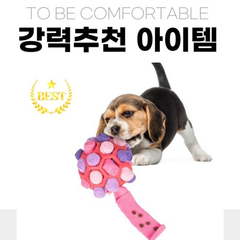 반려견을 위한 최고의 노즈워크 장난감