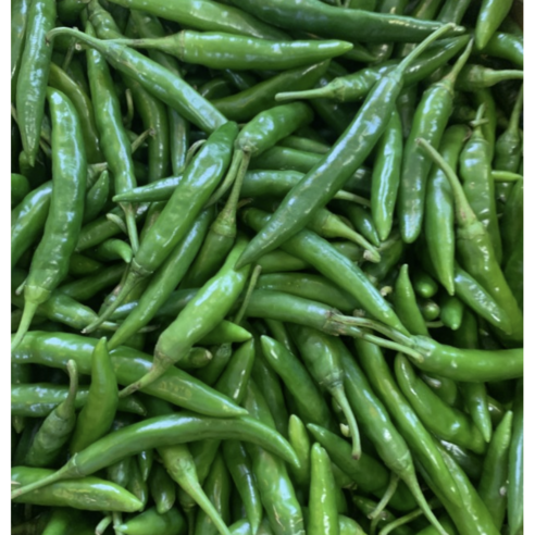 국산 싱싱한 아삭아삭 못난이 청양고추 청량 고추 1kg 2kg 3kg 10kg / 청량고추 매운고추 땡초 매운청양고추 땡초고추 청양고추10kg 못난이고추10kg, 1개