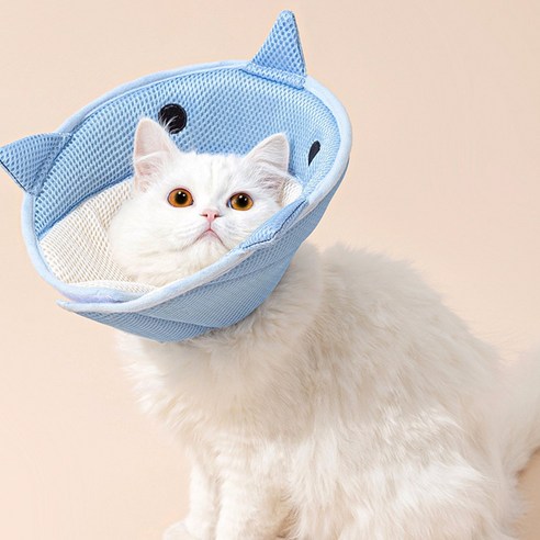 리빙공감 댕댕 냥냥이 애니멀 넥카라, 샤크