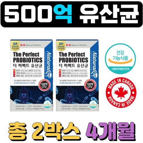 500억 유산균 프리바이오틱스 락토바실러스균 장건강 식약처인증 다이어트유산균 식물성캡슐, 60정, 2개