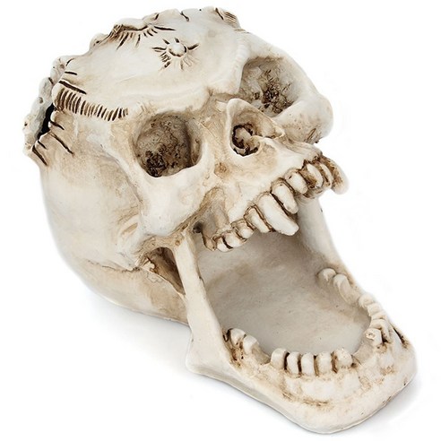 Deoxygene 수지 공예 해골 보석 상자 귀걸이 목걸이 반지 보관 컨테이너 조각 장식, 1개, 하얀색