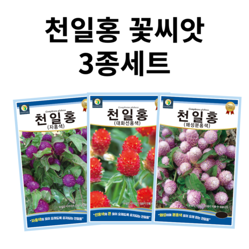 천일홍 씨앗 3종세트 꽃씨 꽃씨앗 봄꽃씨 봄 여름 가을 겨울 보라색 핑크색 빨간색 분홍색, 1개