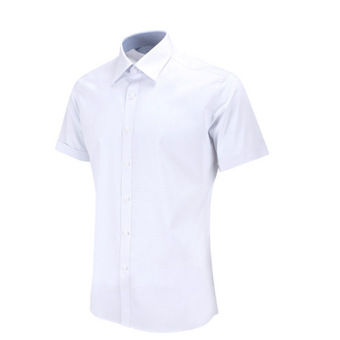 레디핏 슬림핏 링클프리 고급모달 화이트 흰색 반팔셔츠