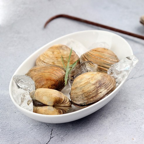 국내산 거제도 자연산 개조개 대합: 바닷속의 진미 맛보기