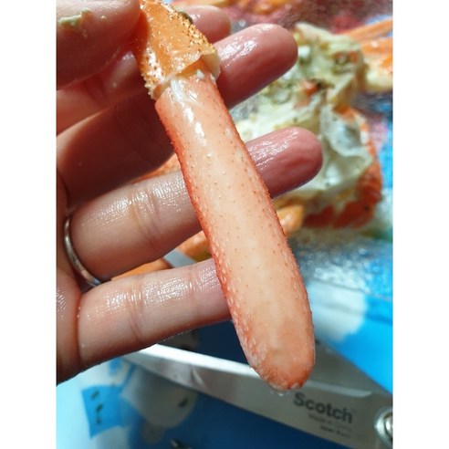 포항 구룡포에서 잡은 상질의 박달대게를 신선하게 즐기세요!