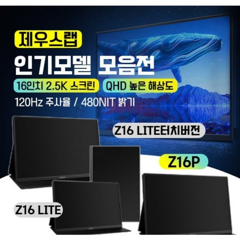 제우스랩 포터블 모니터 Z16LITE / Z16P / Z15ST / AP156 / AT156 한국형 어뎁터 포터블모니터제수스랩, Z16LITE(일반버전)