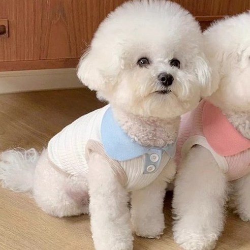 퐁펫 골지카라 나시 Pet708, 스카이카라, 1개