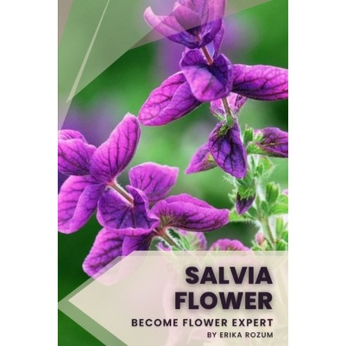 (영문도서) Salvia Flower: Become flower expert Paperback, Independently Published, English, 9798391419860