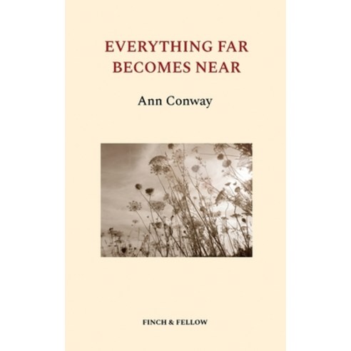 (영문도서) Everything Far Becomes Near Paperback, Jessica Brown, English, 9780997640922