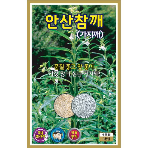 텃밭 초보도 안심, 안산 영웅 참깨씨앗으로 고소함 가득한 가을 식탁 만들기