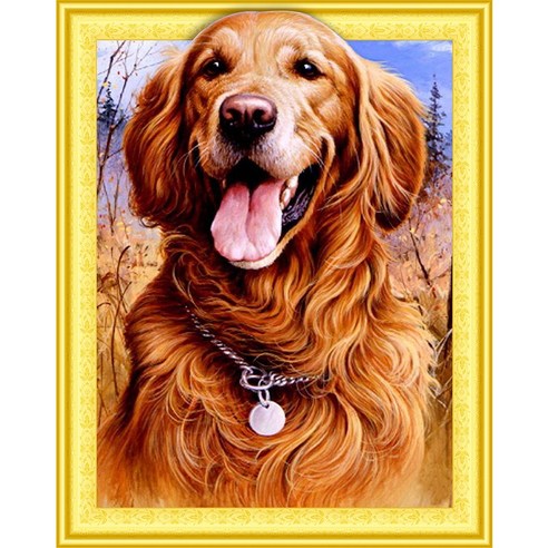 돌아라 예쁜 캔버스형 액자 보석 십자수 DIY 비즈공예 40x50cm, 40*50cm, 1개, ZP2005