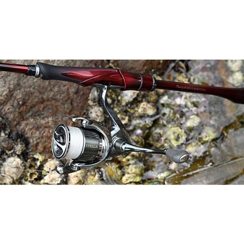 꿈틀대는 손맛, 짜릿한 쾌감! 시마노 25세피아 리미티드로 당신의 에깅을 완성하세요.