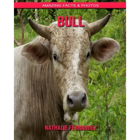 Bull: Amazing Facts & Photos Paperback, Independently Published