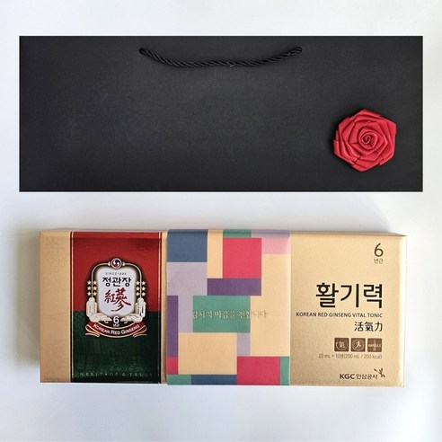 정관장 홍삼정 활기력 10개입 200ml 선물용 쇼핑백 운동 여행 부모님 골프 명절, 1개
