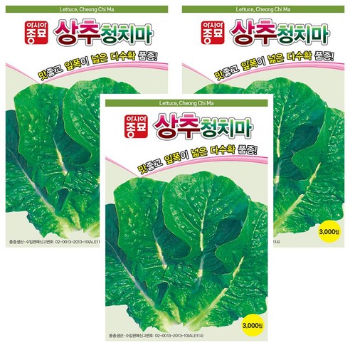 청치마 3000립 치마상추씨앗, 3개