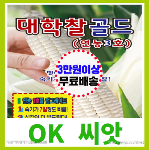 [OK씨앗] [대학찰골드(연농3호)옥수수] 옥수수씨앗 종자(오케이씨앗), 300립