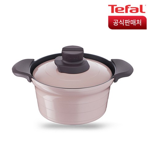 테팔 인덕션 트레져 찌개냄비 20cm