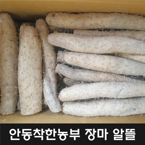 안동참마 알뜰 2 kg 적당크기 (24년 햇마), 장마알뜰2kg, 1개