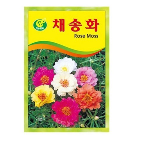 초등학생을 위한 스마트팜으로 집에서 청소년들을 위한 세특 씨앗 10개 무료제공하는 스팀교육 프로그램 스마트팜키트