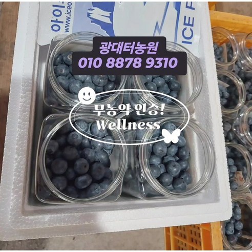 무농약인증 / 고냉지노지 / (국내산) 냉동블루베리 /, 1박스, 중자 2kg