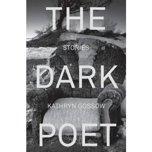 The Dark Poet Paperback, Odyssey Books