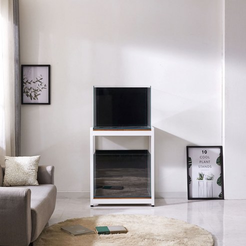 어항을 더욱 아름답게 만드는 선택