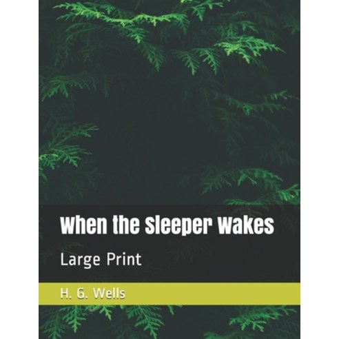 When the Sleeper Wakes: Large Print Paperback, Independently Published, English, 9798579183699