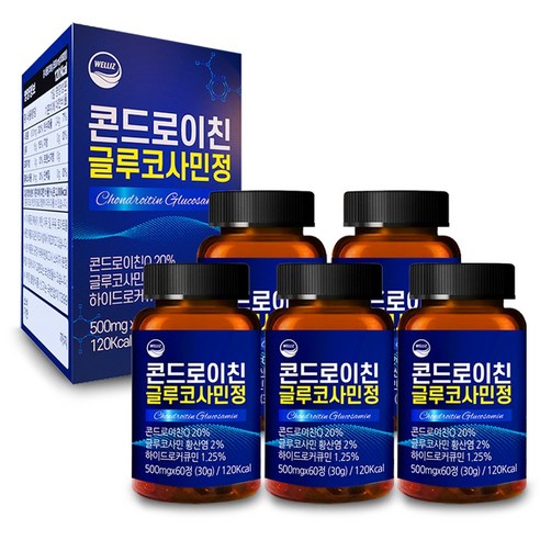 웰리즈 콘드로이친 글루코사민정 2개월분, 60정, 5개