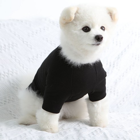 럭키페터 무지 강아지 옷 소형견 대형견 티셔츠 베들링턴테리어옷 리트리버옷, 블랙