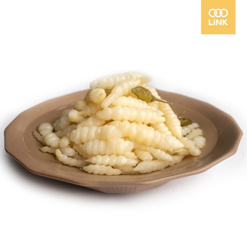 꼬들꼬들 식감 폭발! 초석잠 장아찌로 잃어버린 입맛 되찾기 초석잠장아찌