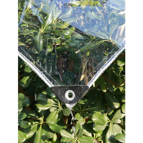 폭풍우에도 끄떡없는 완벽한 보호막