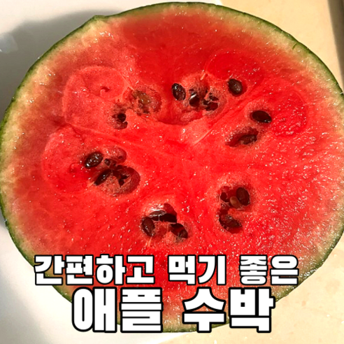 간편하고 맛있는 애플수박 2수(과수당 1.5kg내외) 국산수박 국내산수박 애플 수박 특등급 고당도수박 고당도 가정용 식당용 간식 제철 계곡 여행 화채, 3kg내외, 1개