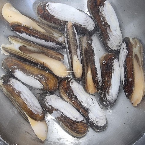 해변에서 신선한 해산물의 풍미를 즐기는 최상의 선택: 맛조개 1kg 캠핑 조개구이