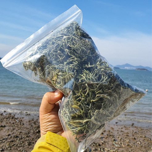 여수 자연산 건청각 김장철 말린청각 국산 생청각