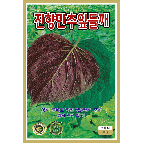쌈채소 씨앗 모음 종자 상추 치커리 로메인 깻잎 쌈채, 2개