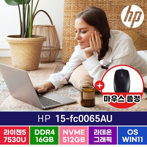   HP 15-fc0065AU 라이젠5 가성비 사무용 싼 업무용 주식 롤 노트북, HP Nero 15-fc0065AU, WIN11 Pro, 16GB, 512GB, 실버