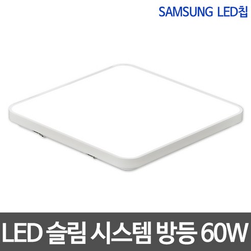 비스코엘이디 LED 뉴 시스템 60W 삼성칩 방등, 주광색(하얀빛)