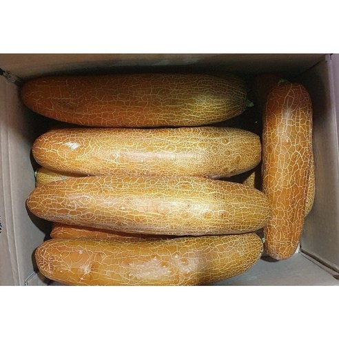 노각오이 10kg 특품 1박스 노각 늙은오이