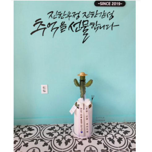 추천제품 용신목 만세선인장 탁상용(40~50c…) – 멋진 식물로서의 소중함 소개